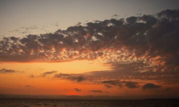 SFBay Sunset.jpg